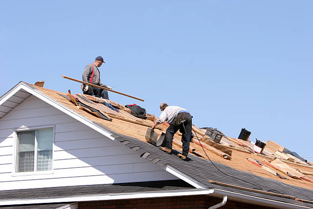 Best Emergency Roof Repair Services  in Tropical Park, FL